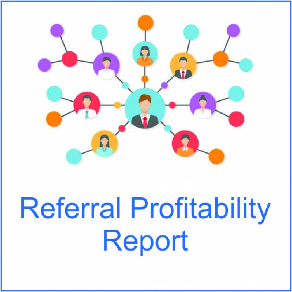 BNI Business Profitability Report